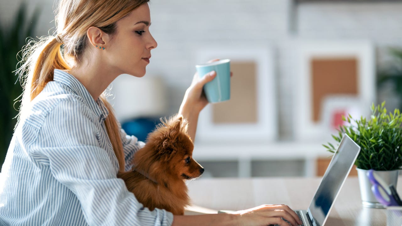 Woman sits at computer with dog