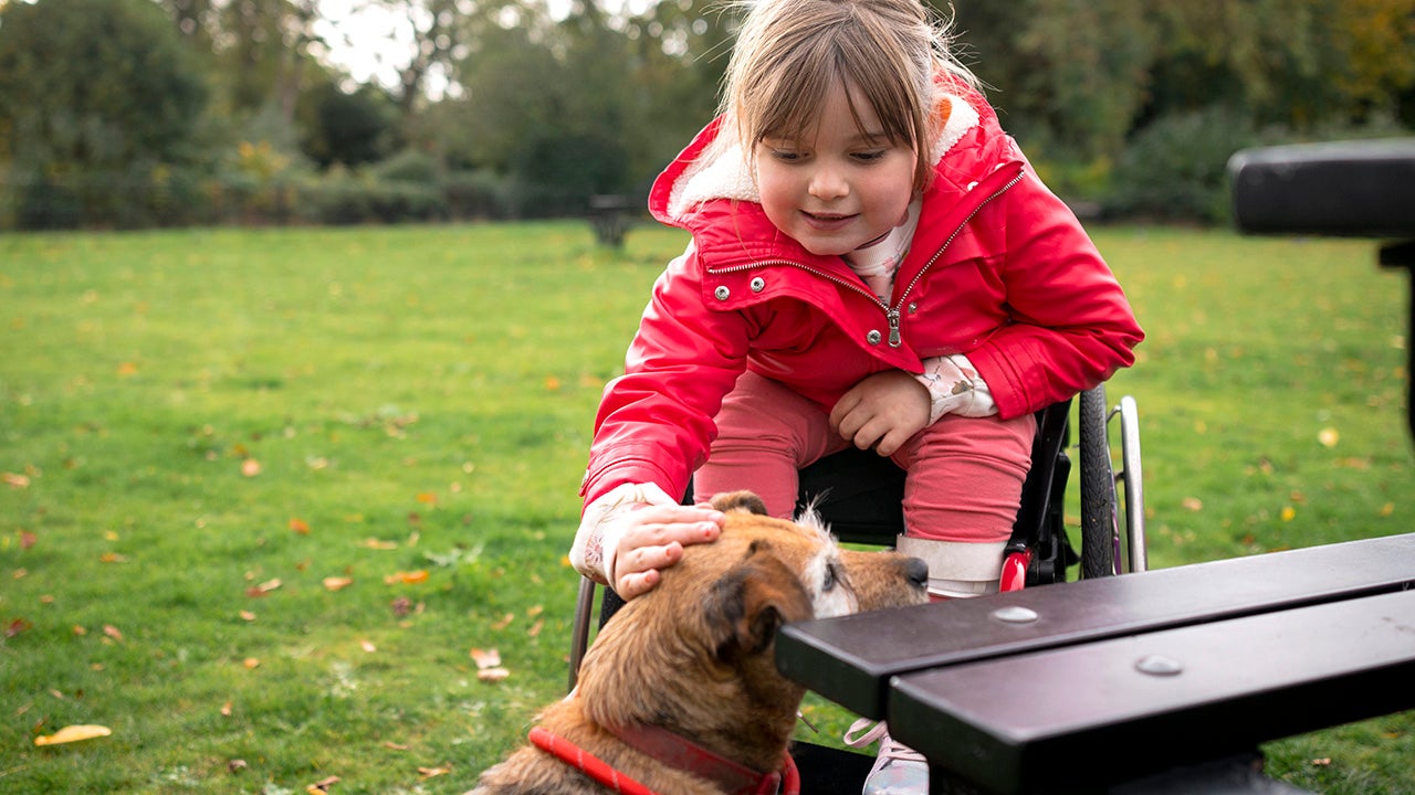child in a wheelchair in a park petting a senior dog