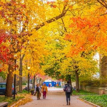 Exterior of Yale University campus