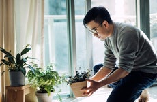 Cheerful young Asian man enjoying his time at home. He is taking care and watering plants in the living room by the balcony in the morning