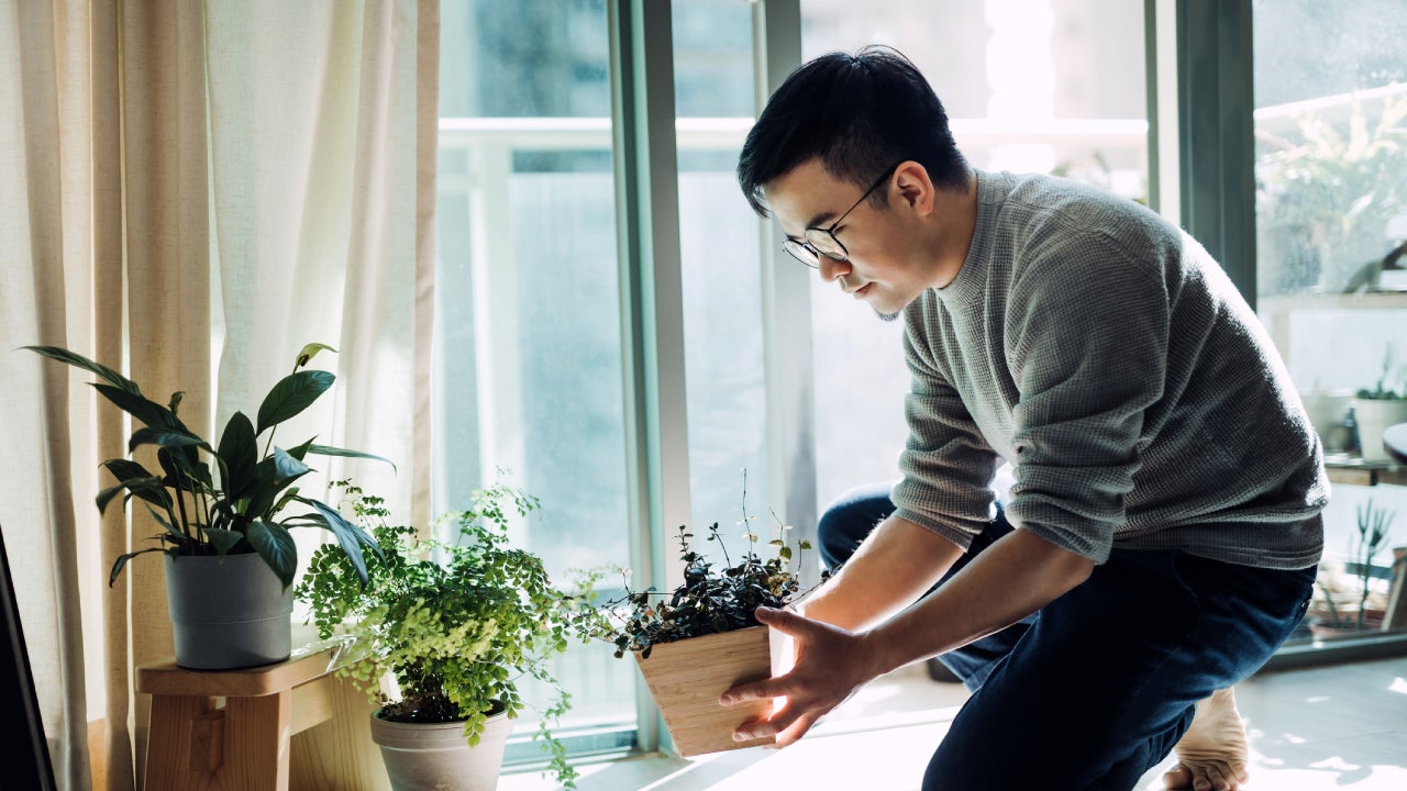 Cheerful young Asian man enjoying his time at home. He is taking care and watering plants in the living room by the balcony in the morning