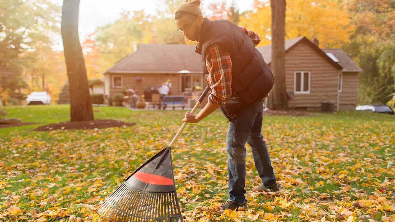 man raking leaves