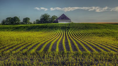 Missouri Farm Bureau Insurance review