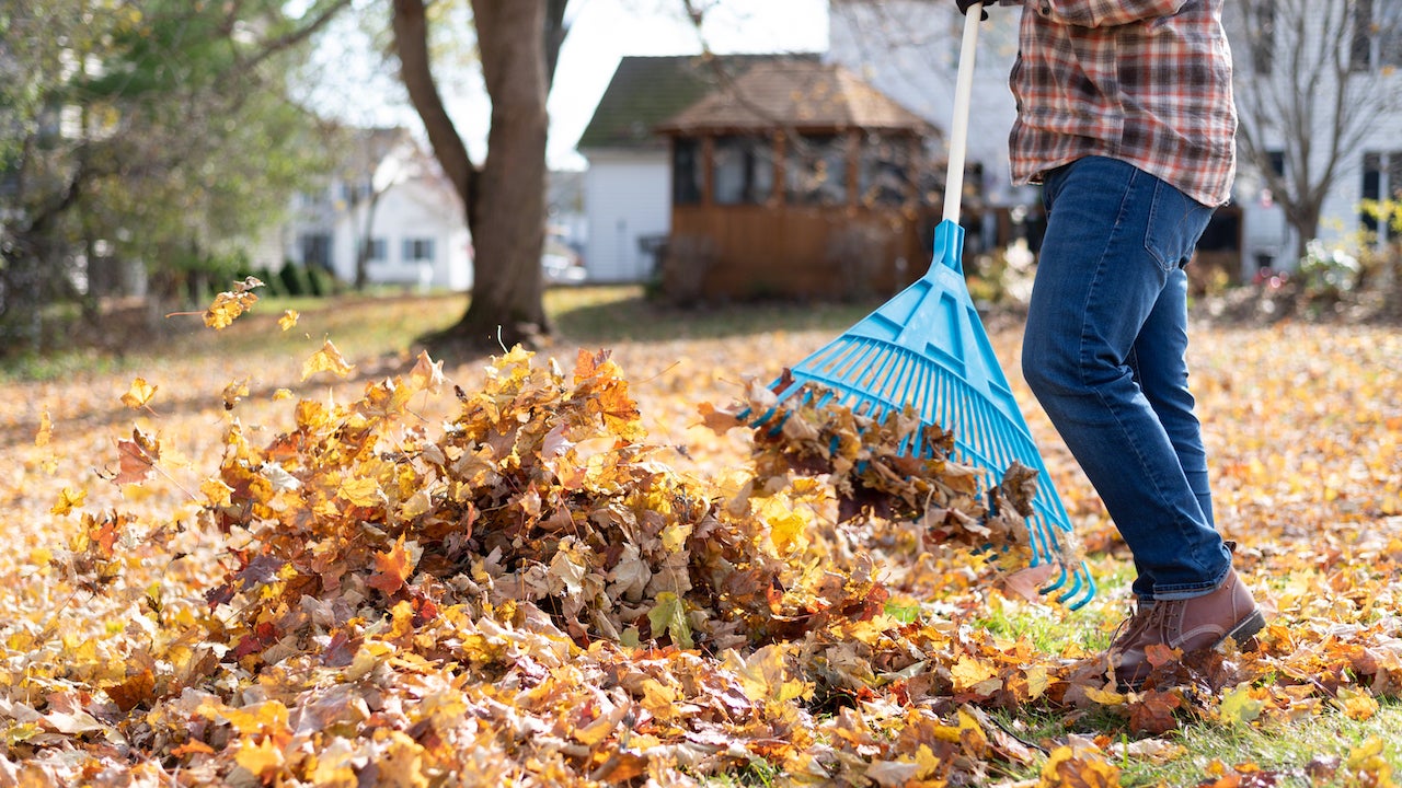 homeowner raking leaves