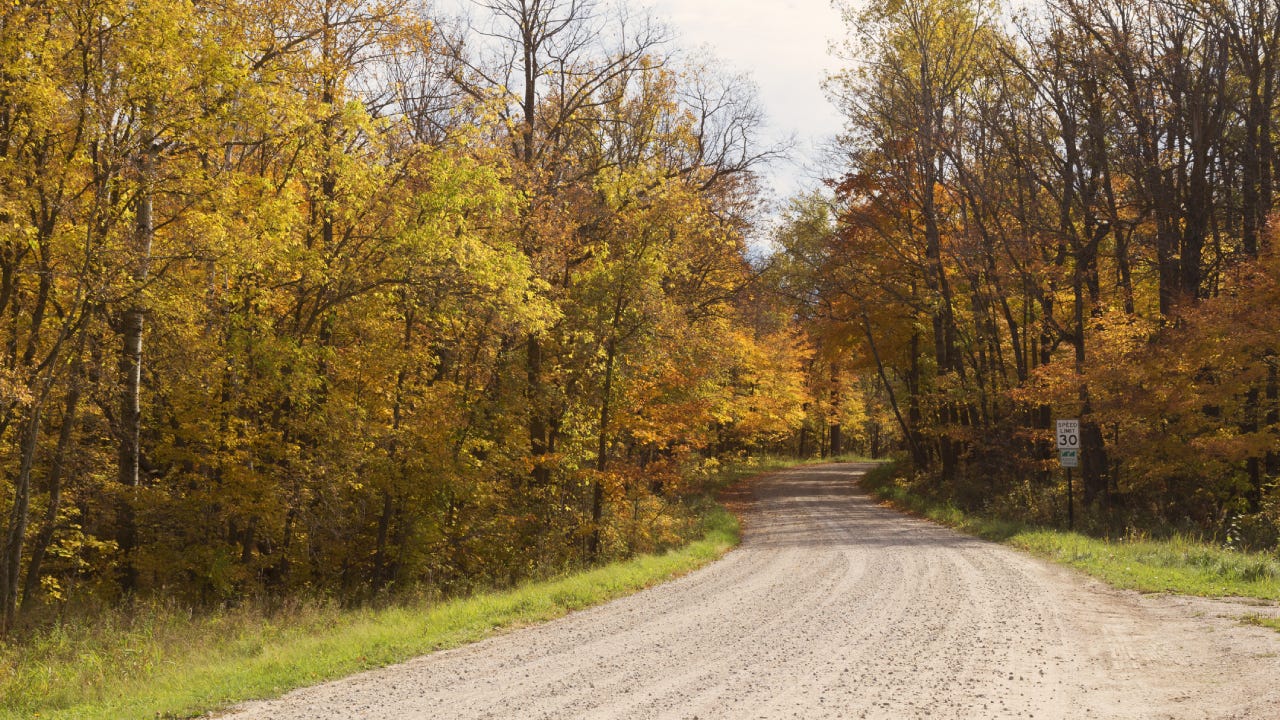 Autumn in Minnesota - Treelined Country Road
