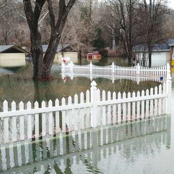 Flooded home and yard