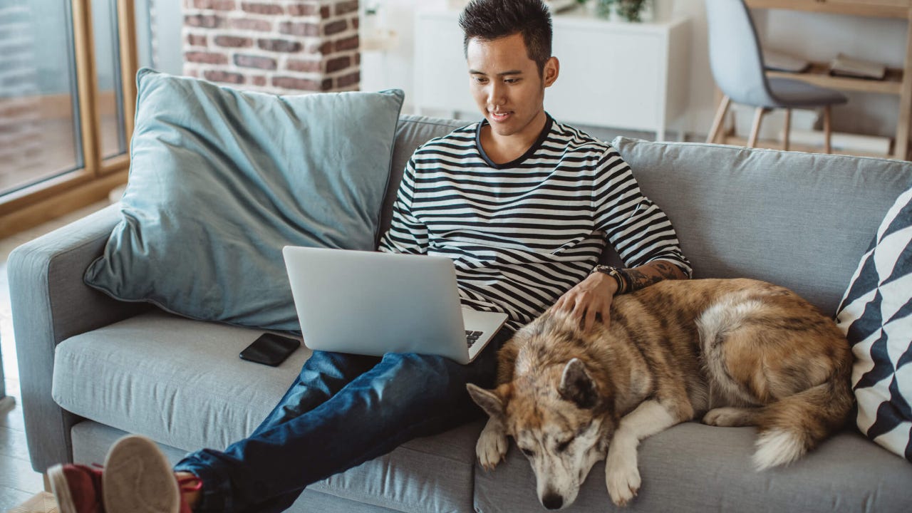 Young man at home uses his laptop on couch with his dog