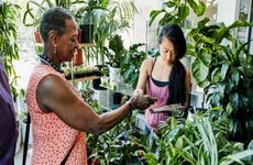 women paying at a plant shop