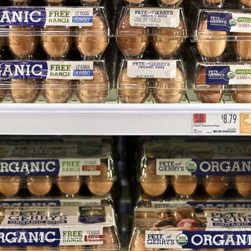 Picture of cartons of eggs in a grocery store