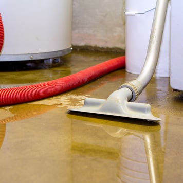 Cleaning up a blooded basement