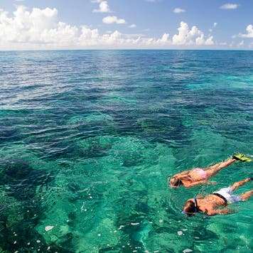 family snorkeling in the ocean