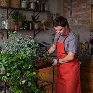 Young male florist with Down syndrome taking care of plants in flower shop