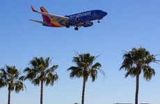 A Southwest jet flies above a few palm trees