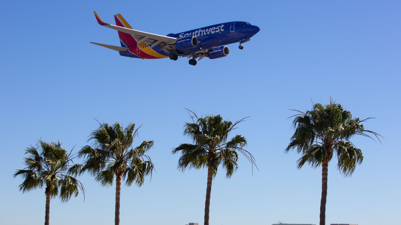 A Southwest jet flies above a few palm trees