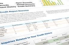 snapshot of a credit score report