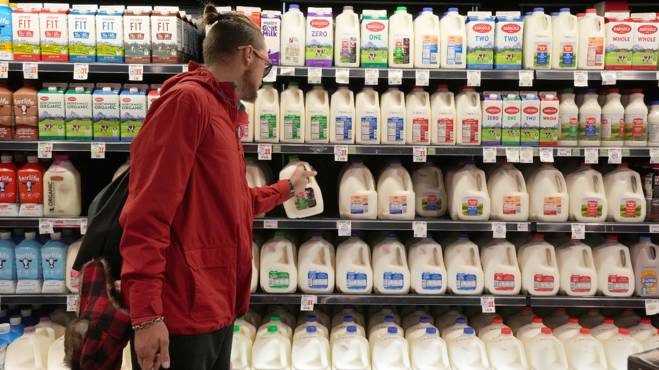 Shopper looks for milk at a grocery store