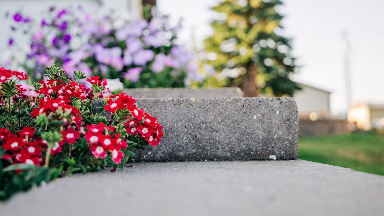 Closeup of colorful flowers and plantings on the front steps of a home