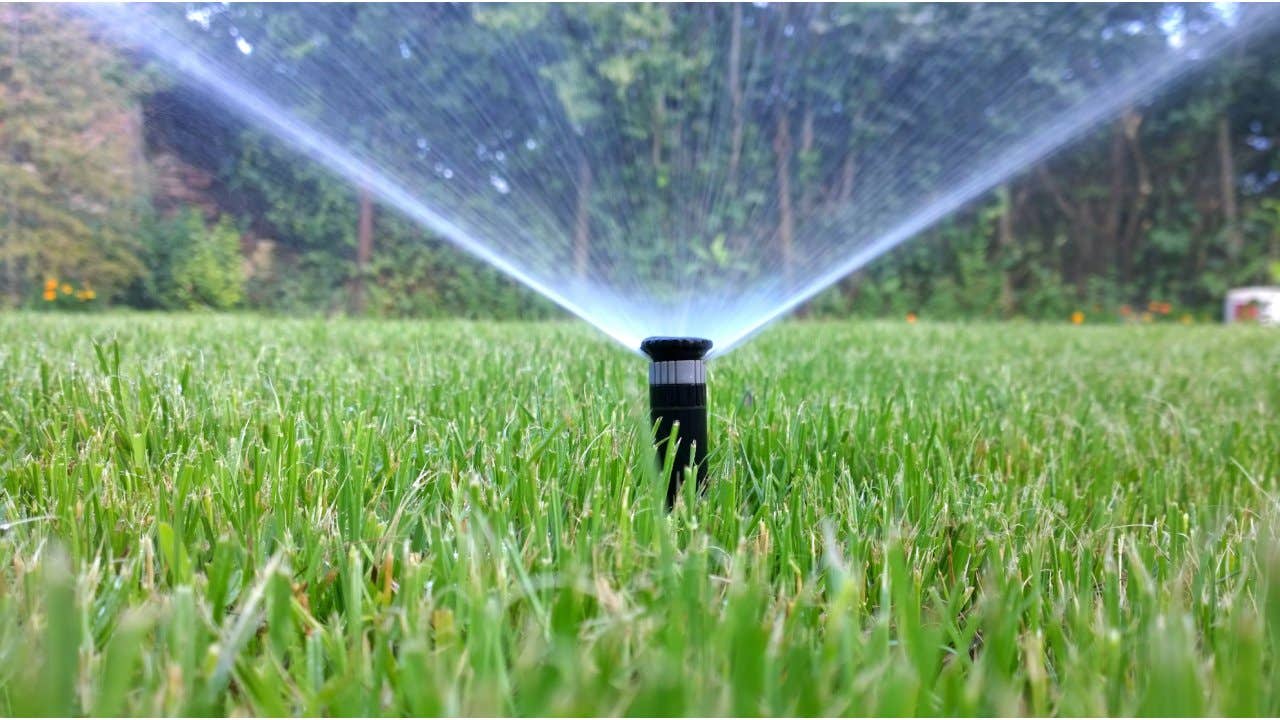 Sprinkler watering a lawn automatically