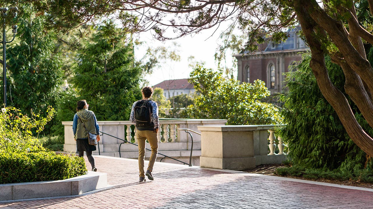 students on a college campus