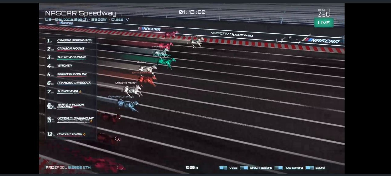 Zed Run virtual race