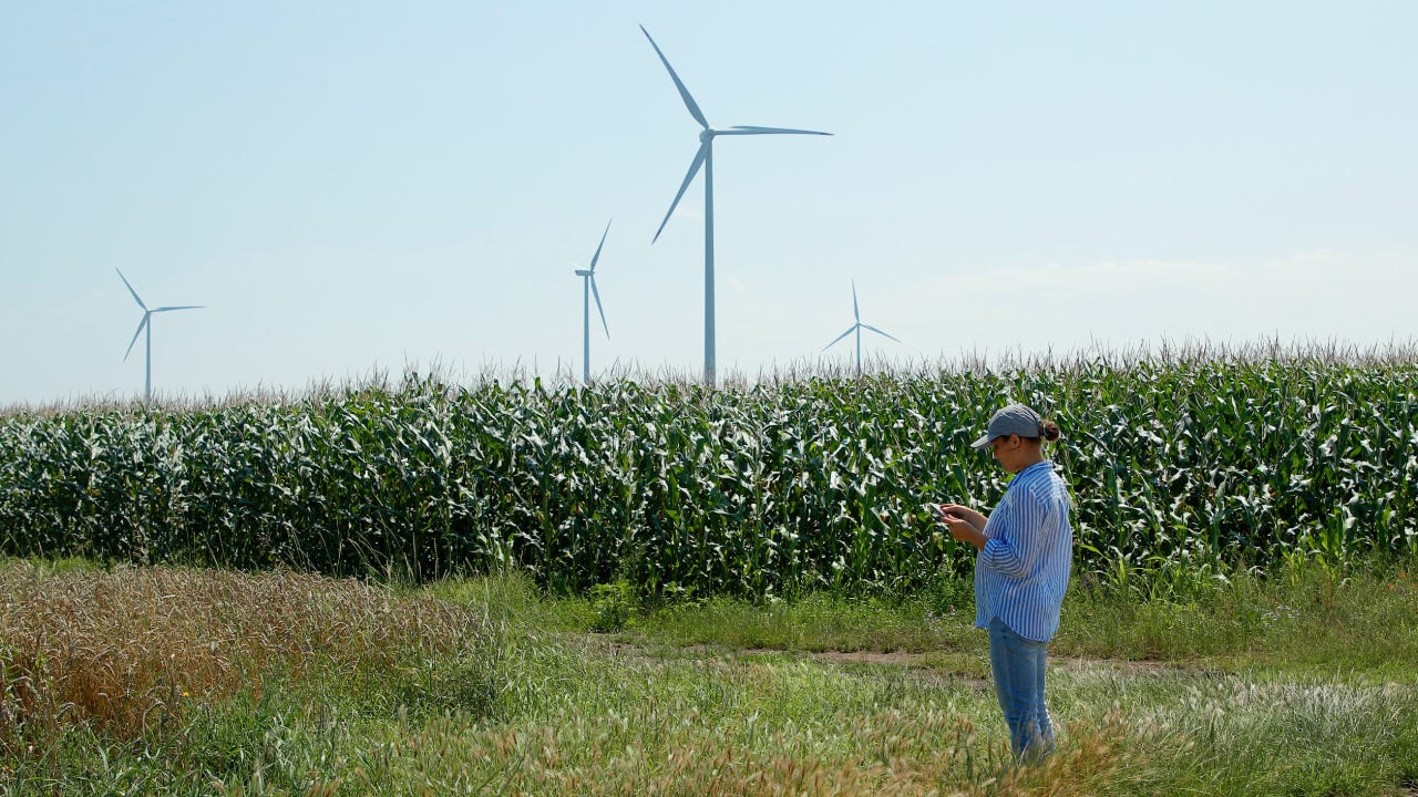 Farmer in field with windmills