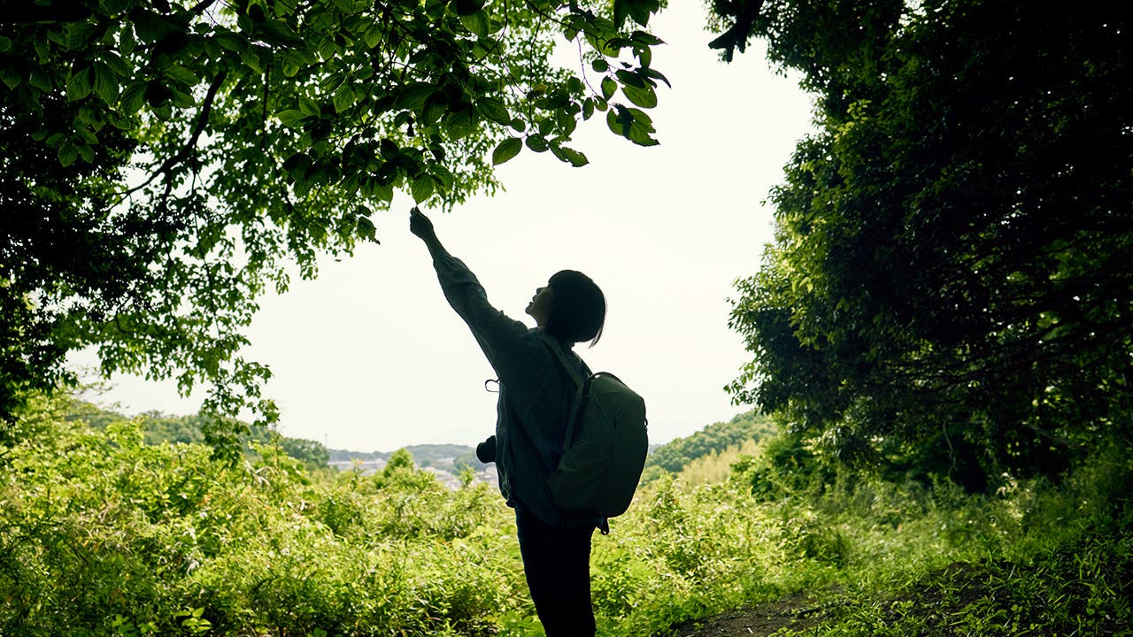 Senior woman looking at a map in the woods overlooking the city