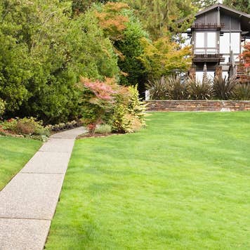 A sidewalk leading to a house in the distance