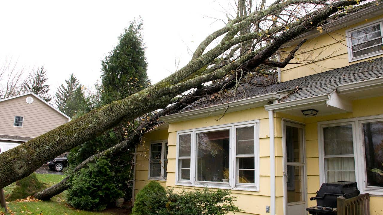 A house with a tree that has fallen onto it