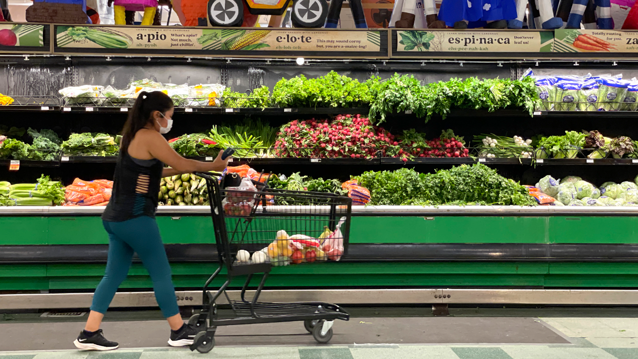 A customer shops at a grocery store.