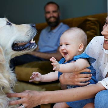 Mother and baby with dog and dad looking on from background