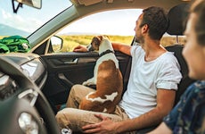 Photo of a young couple and their dog riding in a car on a bright summer day.