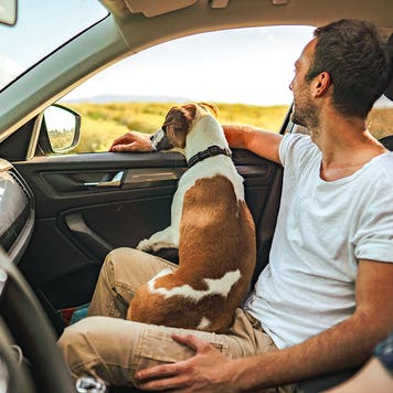 Photo of a young couple and their dog riding in a car on a bright summer day.