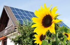 Solar panels on a roof with sunflowers in the foreground