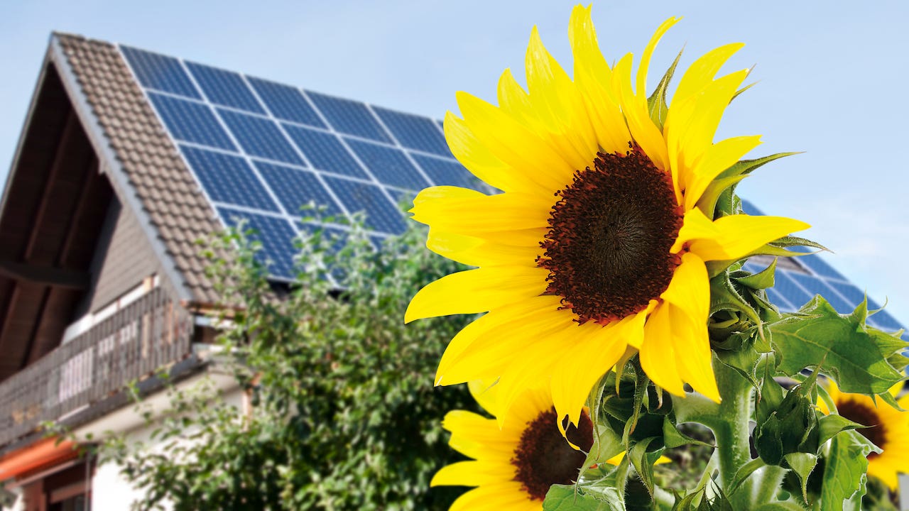 Solar panels on a roof with sunflowers in the foreground