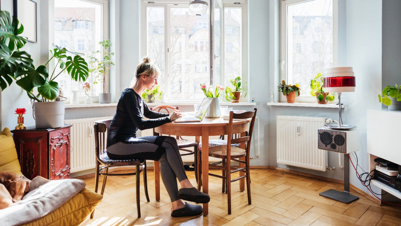 Woman in sunny dining room on laptop at table
