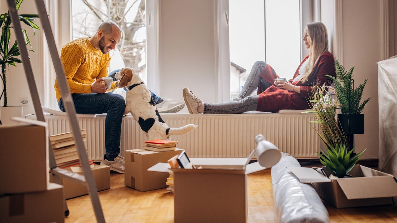 Young couple in an apartment with their dog and some boxes from a recent move.