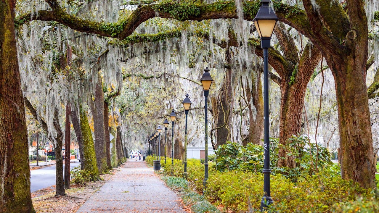 A charming street in Savannah, Georgia, lined with lightposts and trees with the city's famous Spanish moss