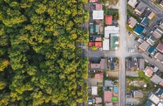 Aerial view of road intersection between trees and houses