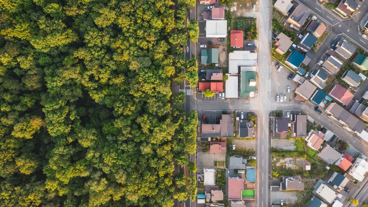 Aerial view of road intersection between trees and houses