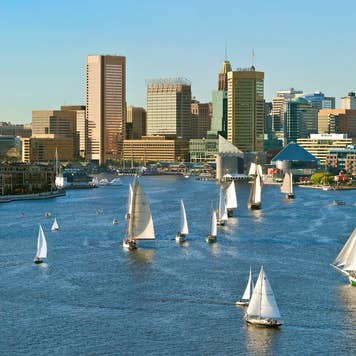 Sailboats in the Chesapeake Bay at Baltimore, Maryland's Inner Harbor, with city skyline