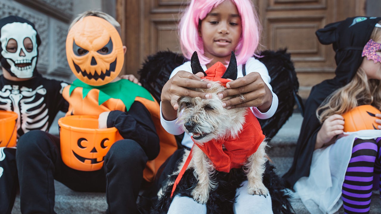 It is amazing to me how many costumes for kids cost a ton of money. Here  are the most wasteful Halloween c…