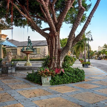 street in Naples, Florida