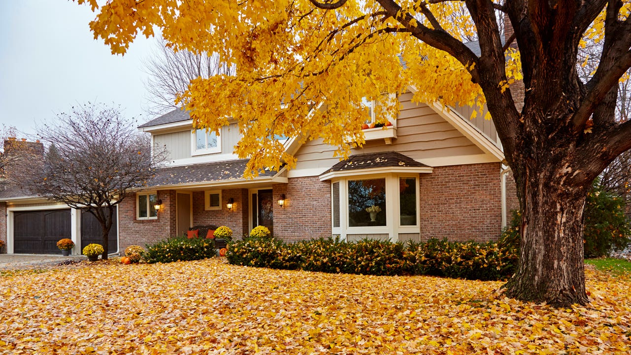 home in Minnesota with fall leaves in front