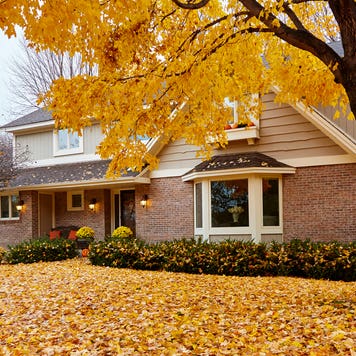 home in Minnesota with fall leaves in front