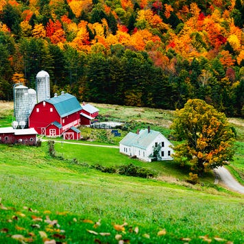 rural farm in Vermont during fall