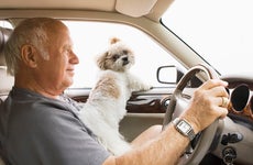 man driving a car with a dog in his lap
