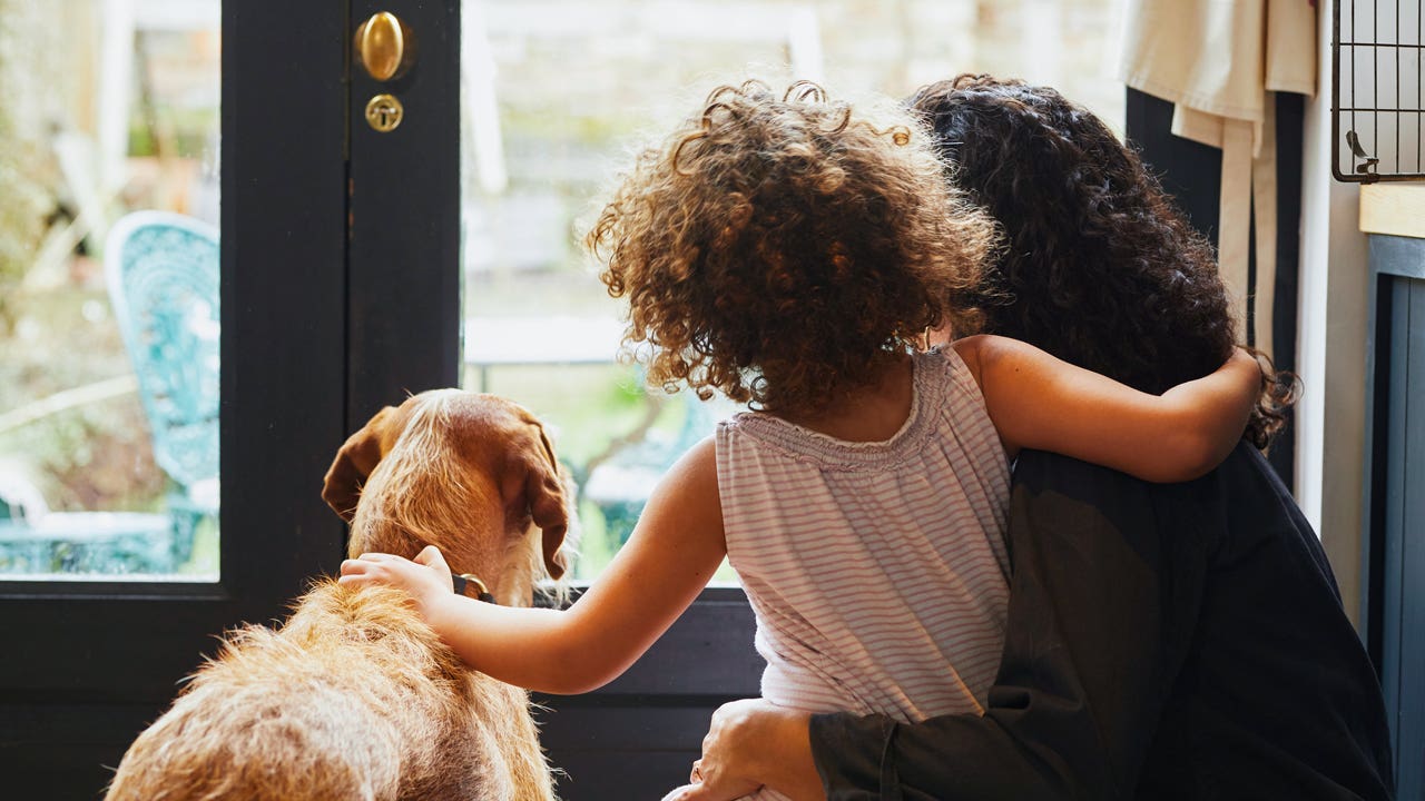 rear view of mother and daughter looking out the window with their dog