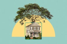 Illustrated collage featuring a tree growing behind a house