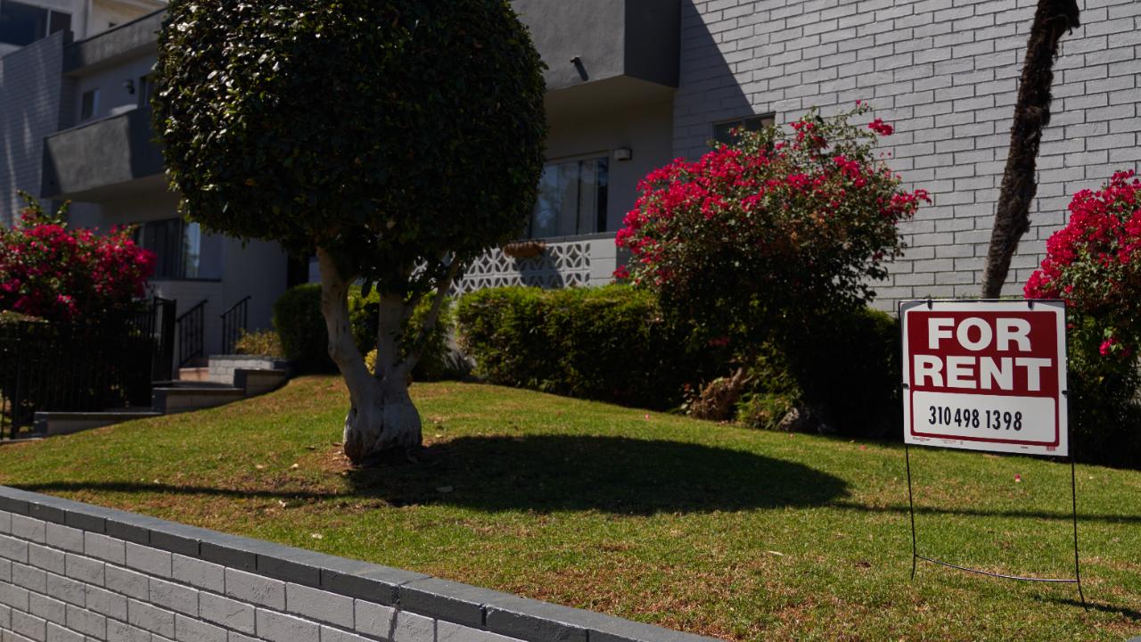 lawn of a house with a for rent sign in the yard