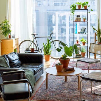 Cozy living room at industrial loft open space